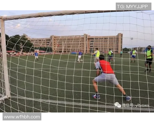 棉农与阿尔艾利的对决：一场关于农业与体育的精彩碰撞