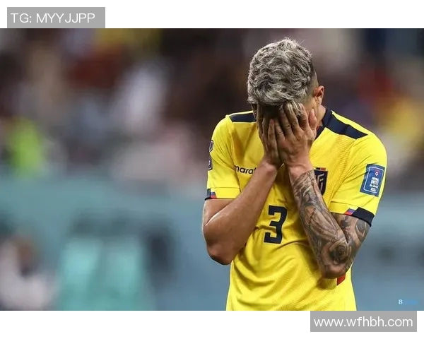 美国与厄瓜多尔友谊赛精彩回顾及赛后分析,球迷热情高涨